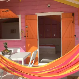Les Cauris De L'anse , Sainte-Anne (Grande-Terre) Guadeloupe