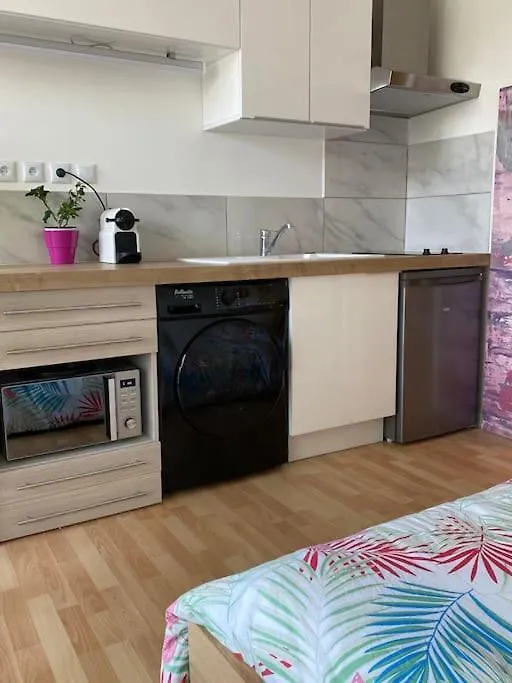 Le Cosy Tassin - Rez De Jardin Daire Fransa