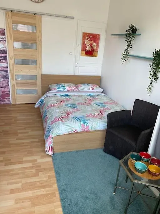 Le Cosy Tassin - Rez De Jardin Daire
